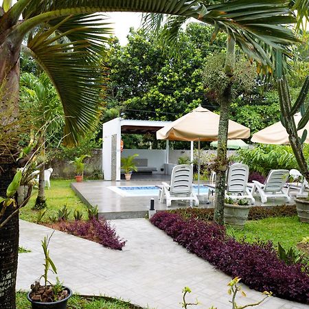 Green Palm Self Catering Anse aux Pins Extérieur photo