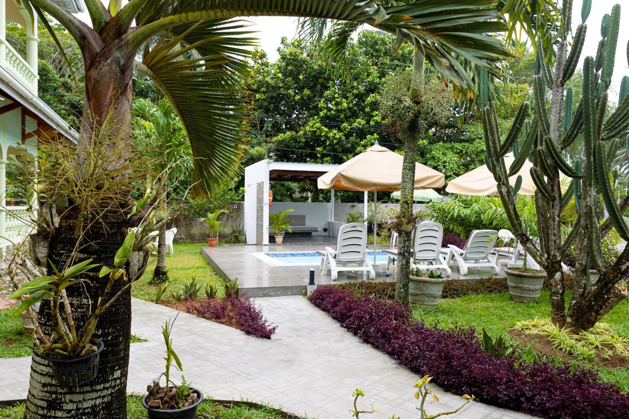 Green Palm Self Catering Anse aux Pins Extérieur photo
